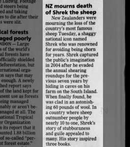 Shrek the Sheep Jun 8 2011